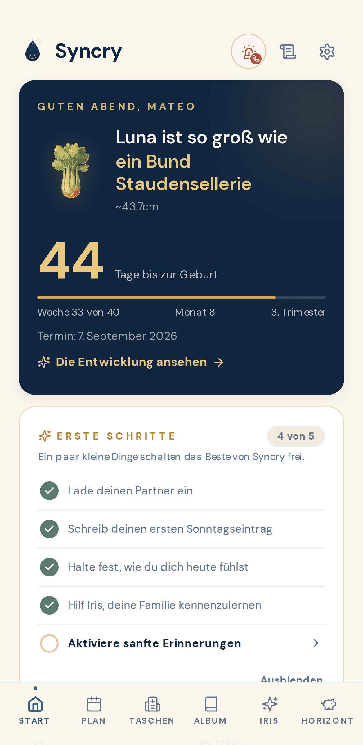 Die Syncry-App