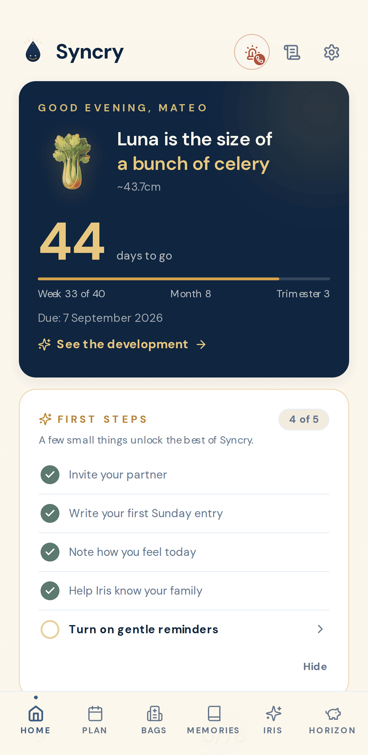 The Syncry app