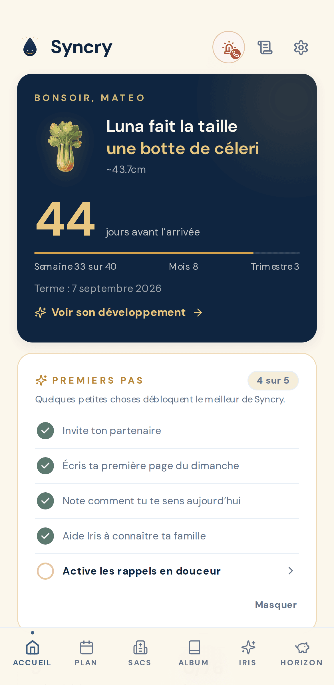 L’écran d’accueil de Syncry.